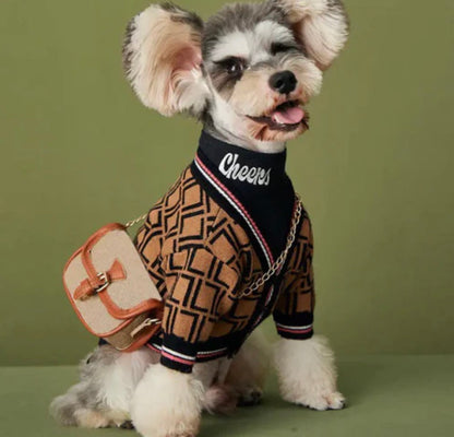 Gilet classique Furendi pour chien | Chandail tricoté pour chien avec boutons