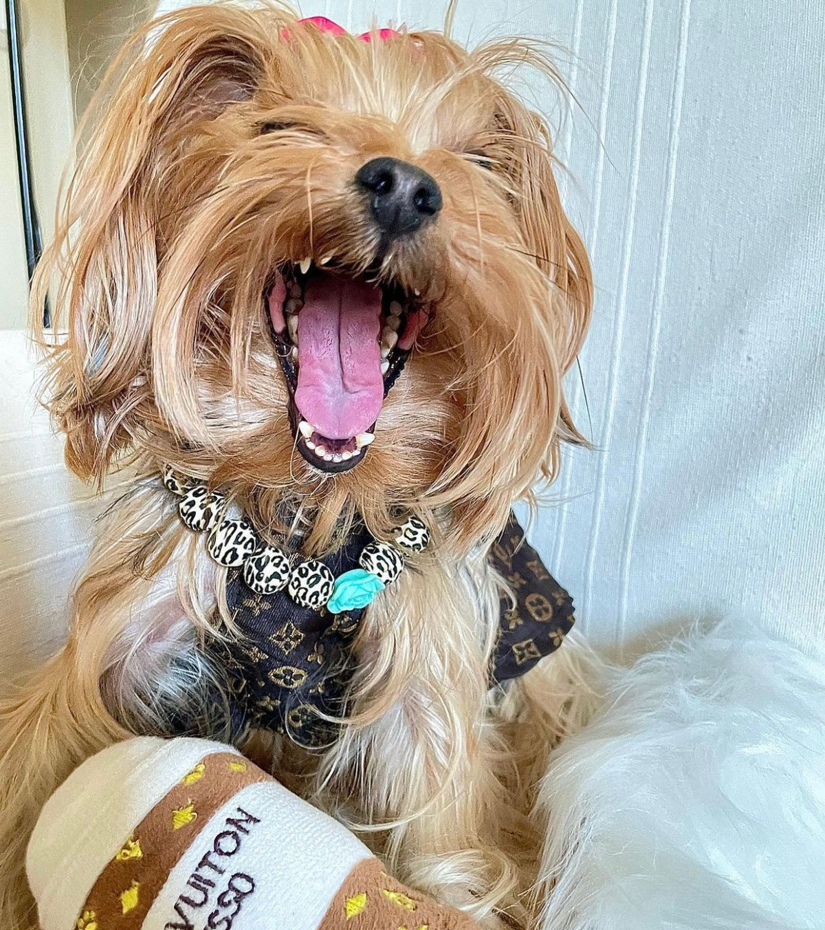 Jouet pour chien tasse à café Chewy Vuitawn Espresso