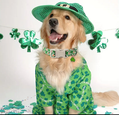Collier de la Saint-Patrick – Collier de luxe festif pour chien