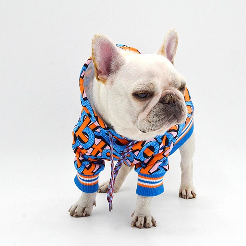 Sweat à capuche pour chien motif Brrbrry | Veste à capuche pour chien