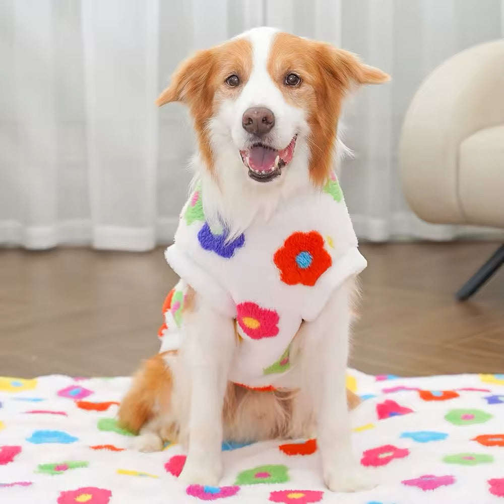 Pull le Printemps est là – Pull pour chien