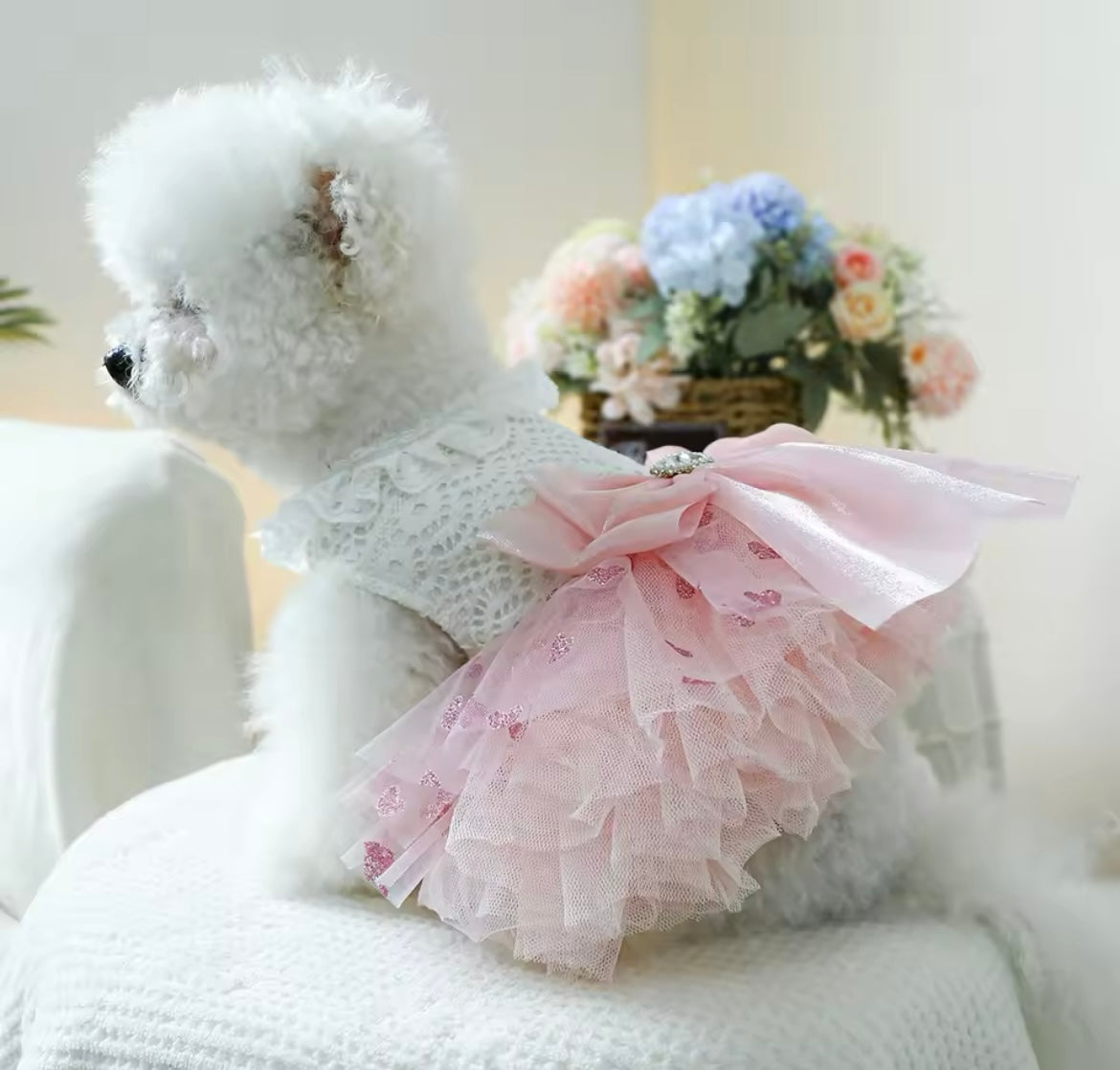 Robe pour chien Laura | Robe de créateur pour petits chiens