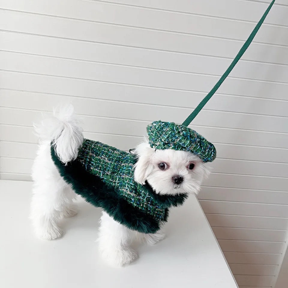 Ensemble Harnais, Chapeau et Laisse pour chien en Tweed Héritage Evergreen