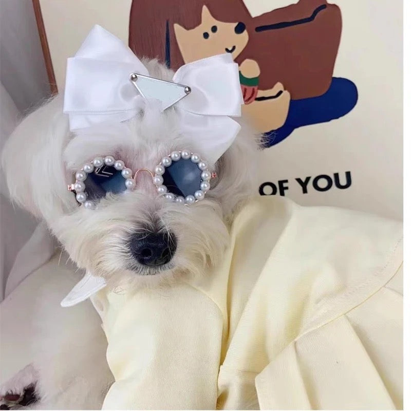 Lunettes de soleil nacrées pour chien | Lunettes de soleil pour animaux de compagnie