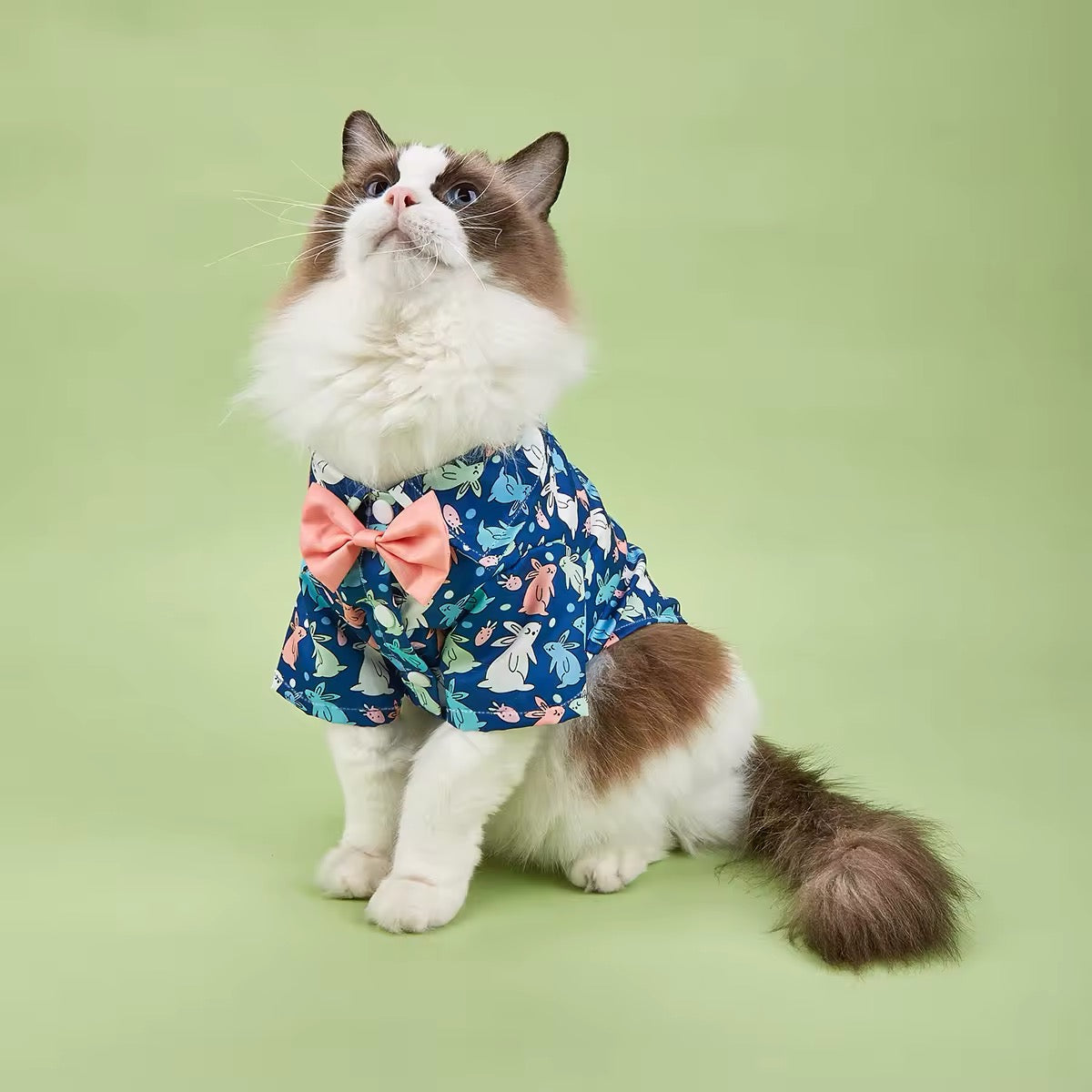 Chemise de Pâques pour chien – Chemise festive de luxe pour chien