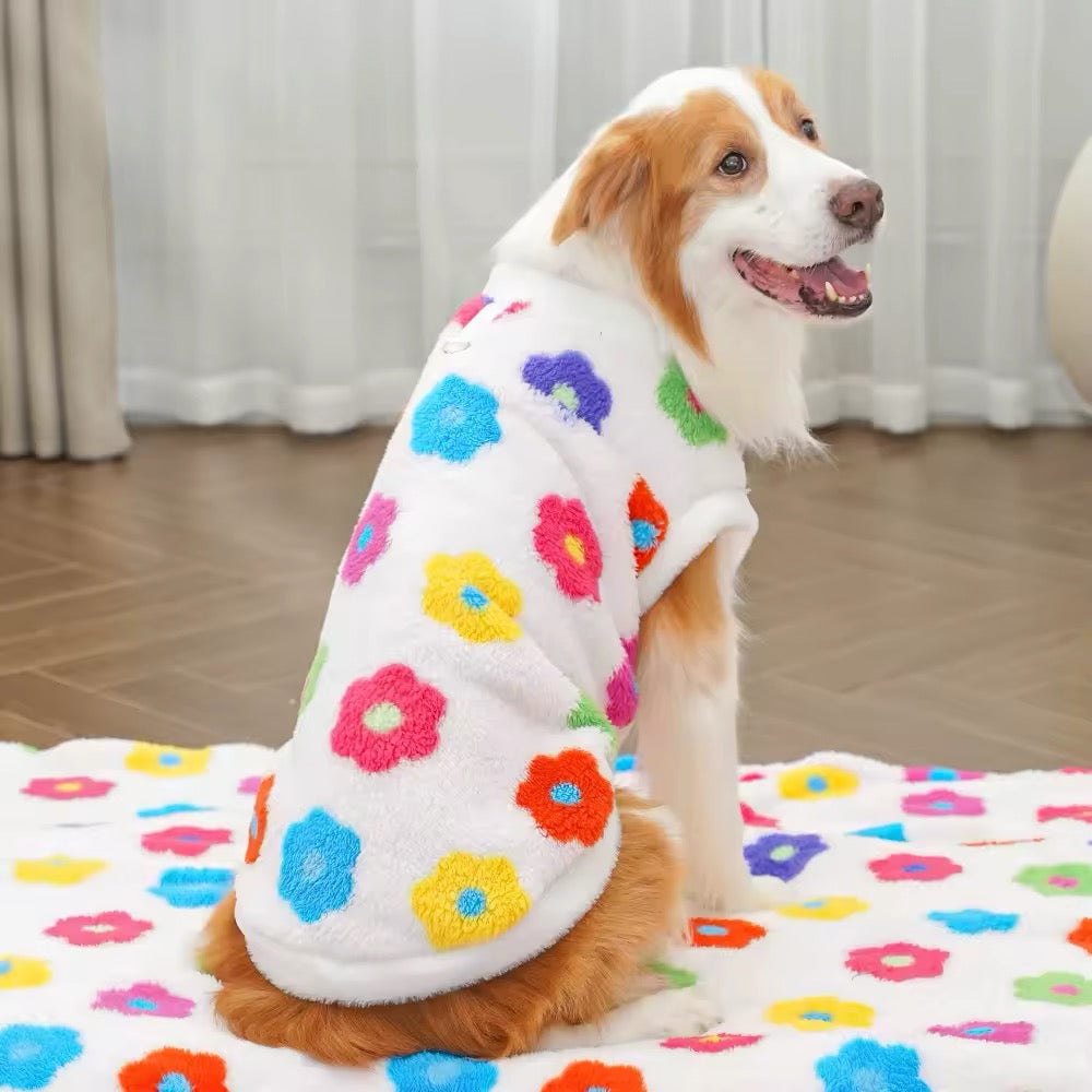 Pull le Printemps est là – Pull pour chien