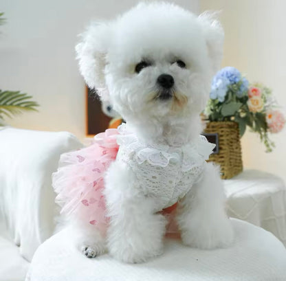 Robe pour chien Laura | Robe de créateur pour petits chiens