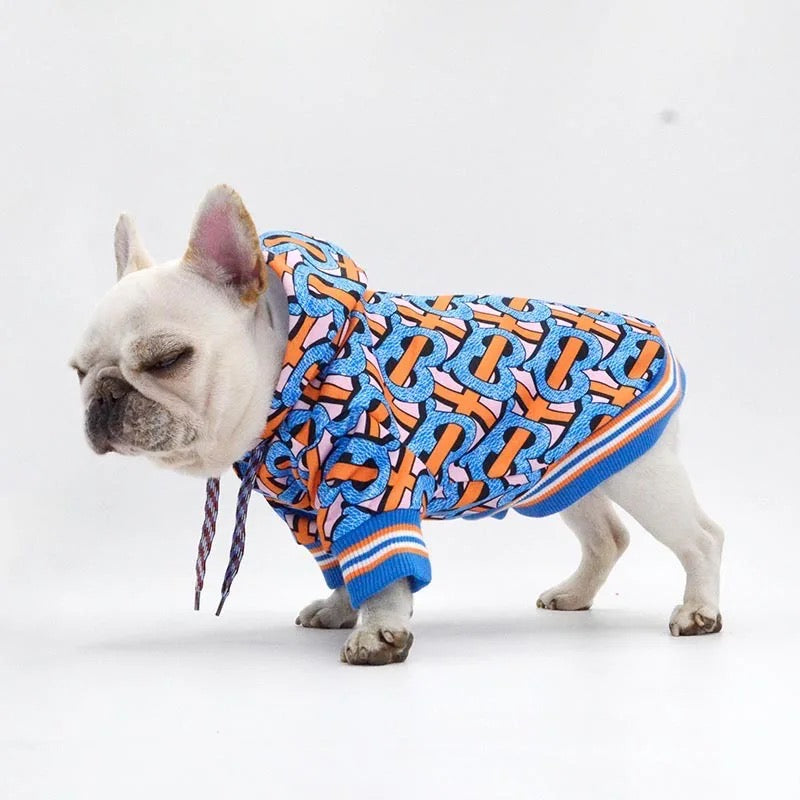 Sweat à capuche pour chien motif Brrbrry | Veste à capuche pour chien