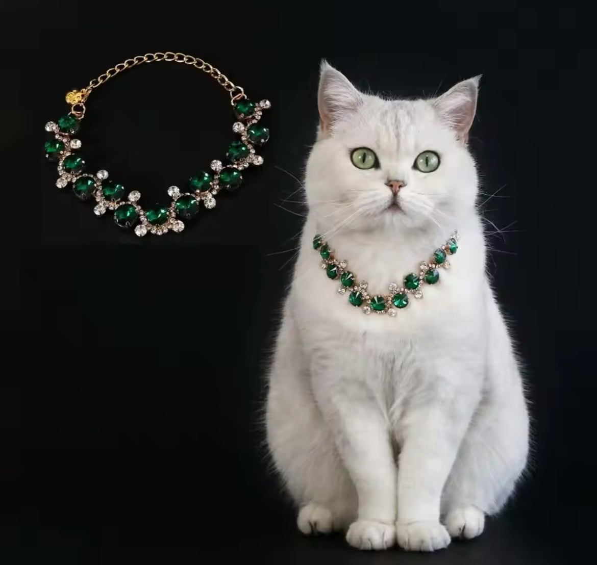Collier pour chien émeraude – Collier de luxe en strass pour animaux de compagnie