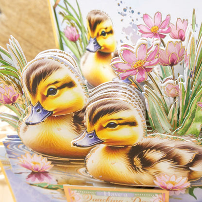 Deco-Large Le printemps est là – Une journée canardement bonne
