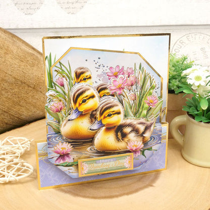 Deco-Large Le printemps est là – Une journée canardement bonne