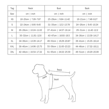 Pull pour chien Gigi | Tricot