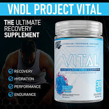 VNDL Project Vital - Endurance, Récupération et Hydratation