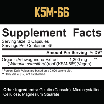Ashwagandha KSM-66 : Soulagement du stress et stimulation cognitive