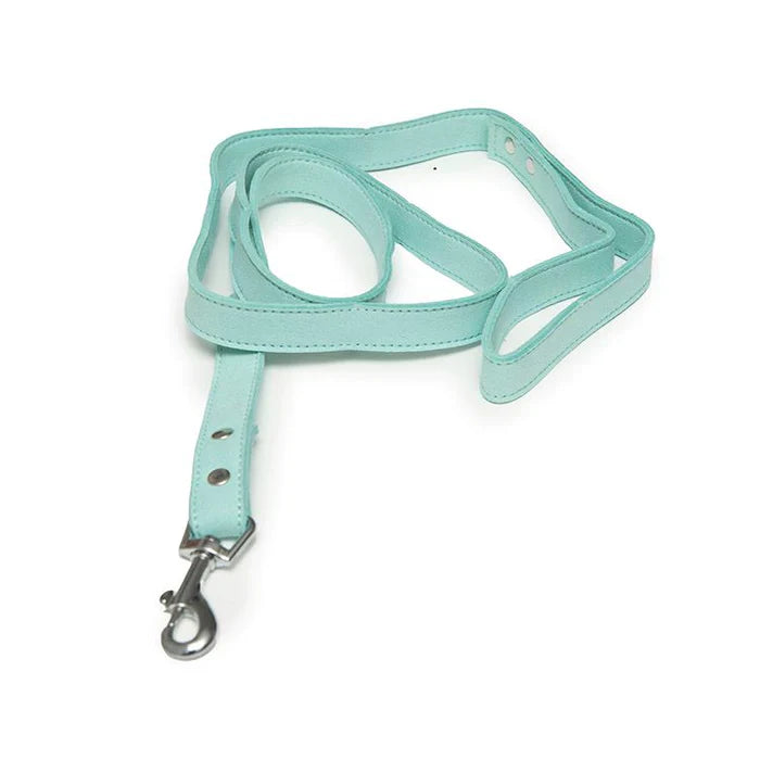 Ensemble Harnais et Laisse pour Chien avec Strass