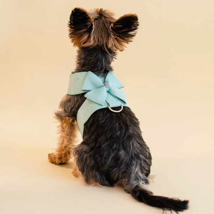 Ensemble Harnais et Laisse pour Chien avec Strass