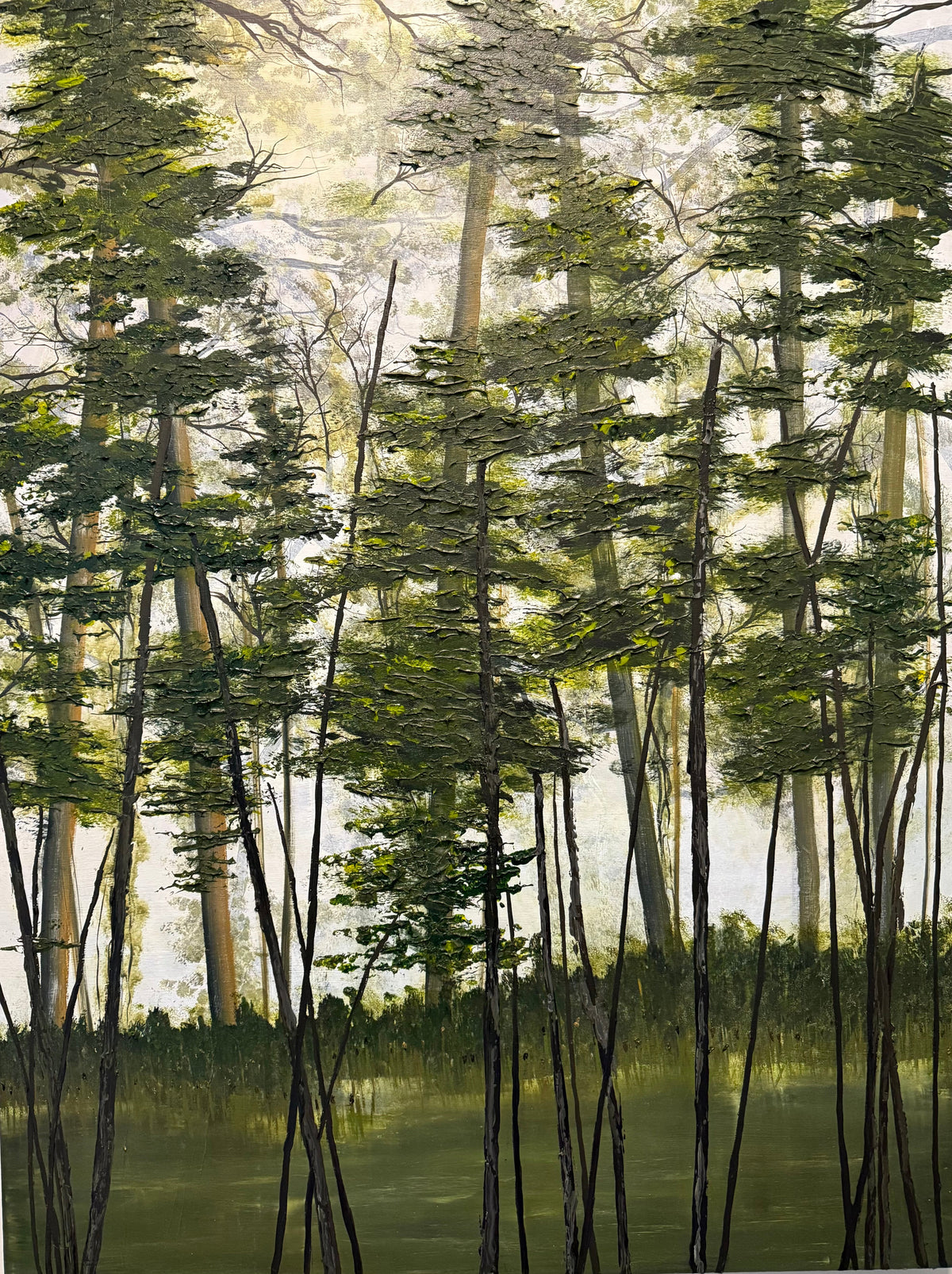 Sentier du lac Shady