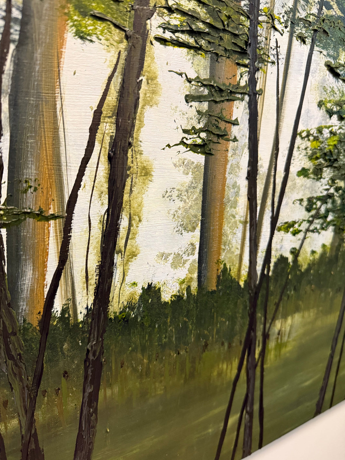Sentier du lac Shady