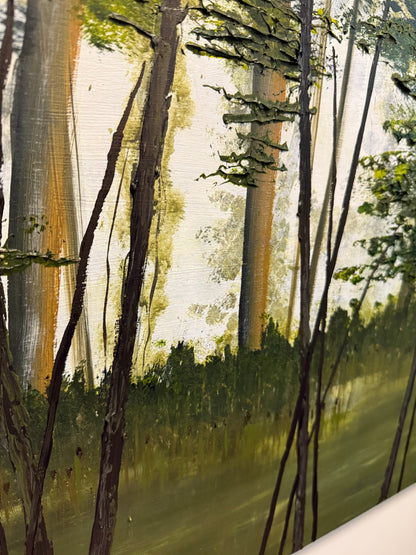Sentier du lac Shady