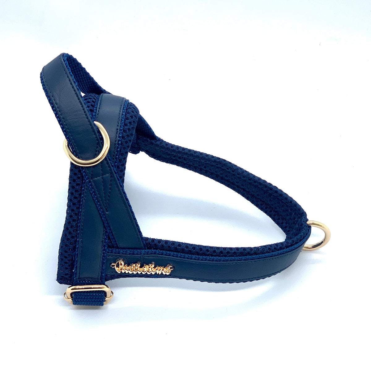 Harnais pour chien Neptune en un clic