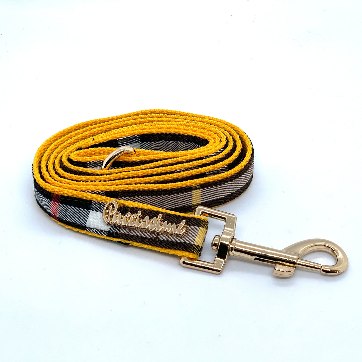 Medallion dog collar