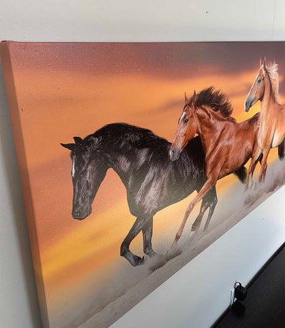 Équipe de cinq chevaux - Toile d'art animalière - Vernis doré