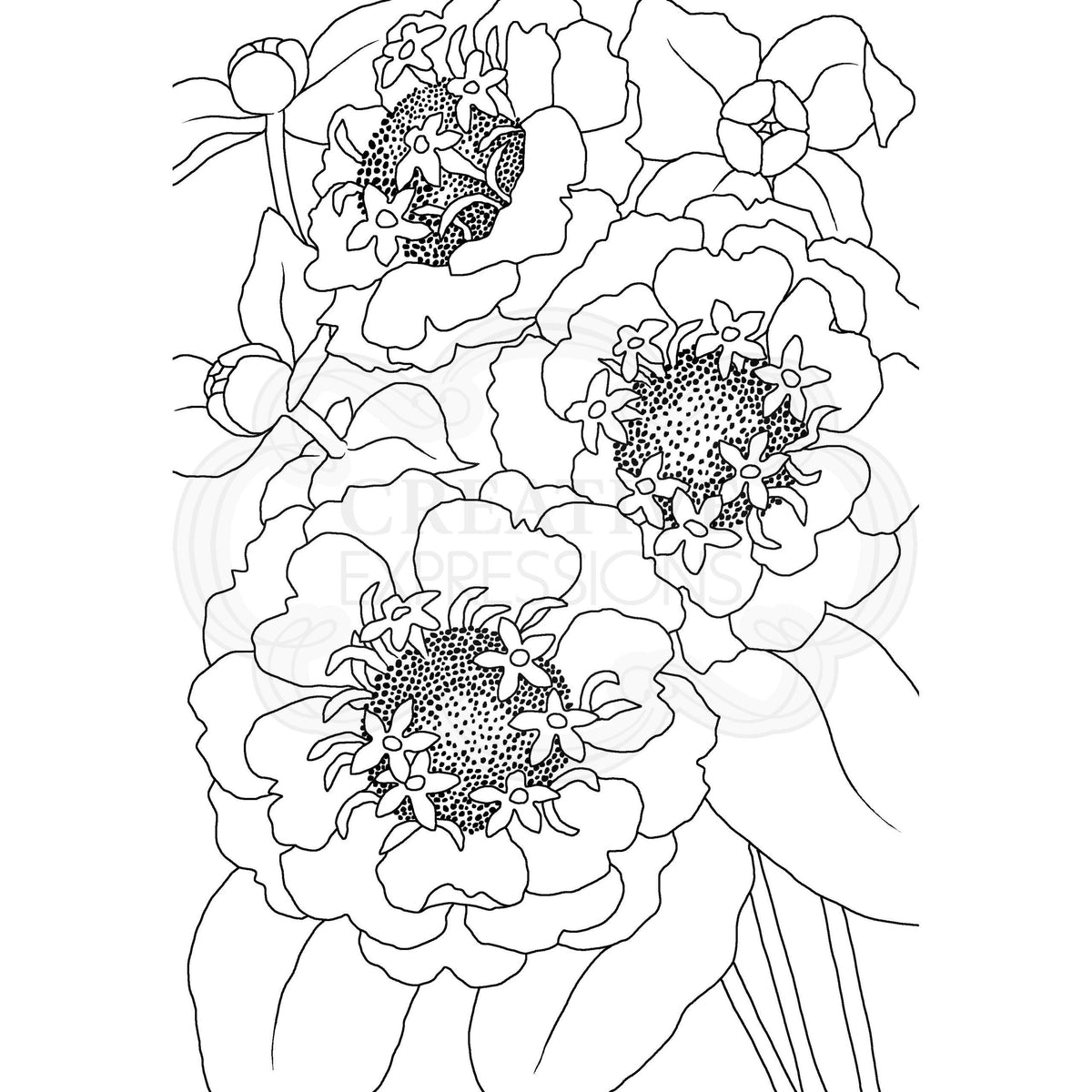 Tampon Boisware Clear Singles Zinnia 10 x 15 cm