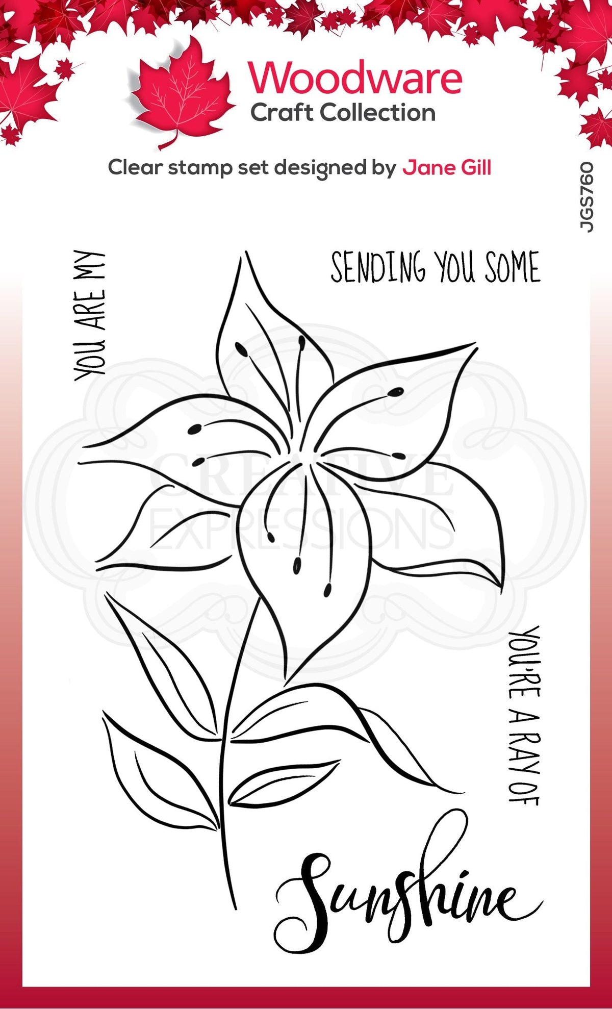 Tampon Woodware Clear Singles Lily Sketch 10,16 cm x 15,24 cm