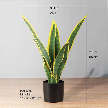 Leti Sansevieria Artificielle en Pot 53 cm