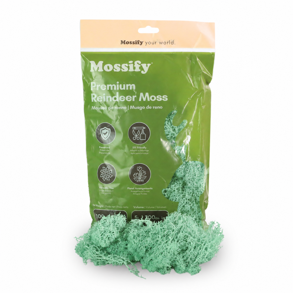 Premium Reindeer Moss Bag