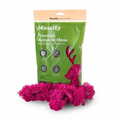 Premium Reindeer Moss Bag