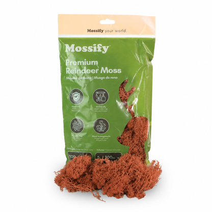 Premium Reindeer Moss Bag