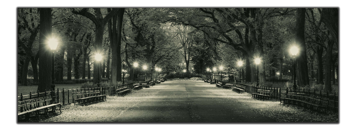 Le Mall à Central Park 72" x 24"