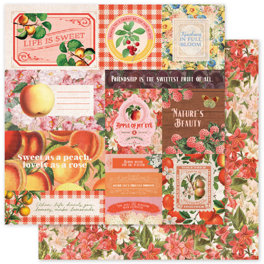 Papiers de base Meadowbrook Farm 30,5 x 30,5 cm (Lot de 12) 35046