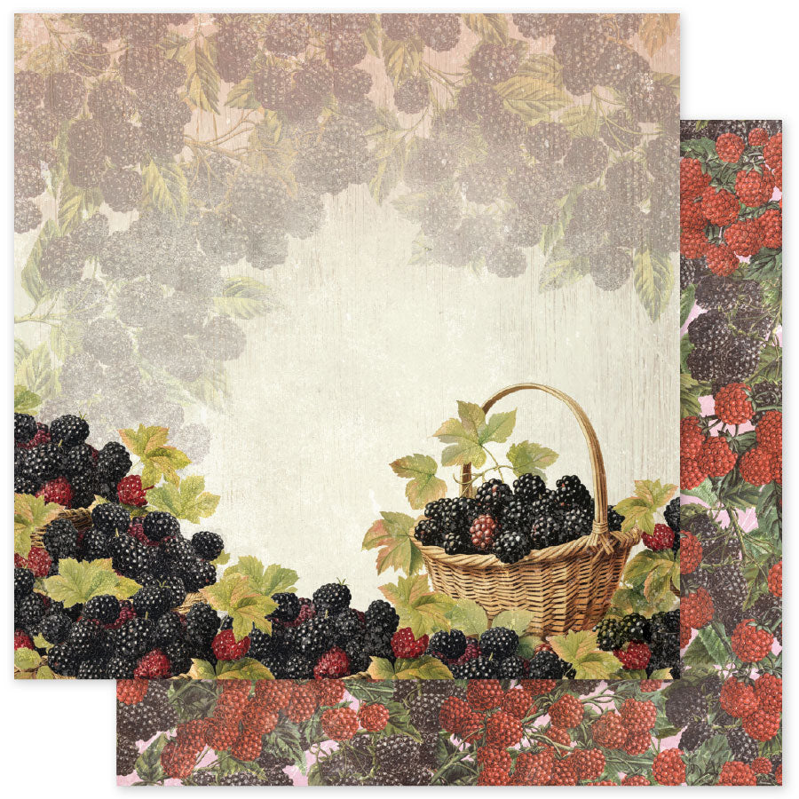 Meadowbrook Farm Basics F Papier 30,5 x 30,5 cm (Paquet de 12) 35061