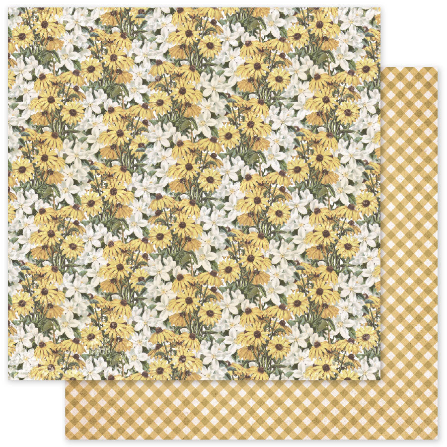 Collection de Papiers Meadowbrook Farm Patterns 6x6 35085