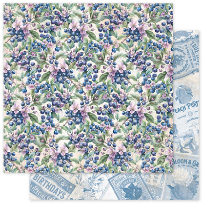 Collection de Papiers Meadowbrook Farm Patterns 6x6 35085