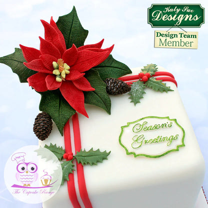 Moule en silicone Fleur de poinsettia Pro et texturisateur