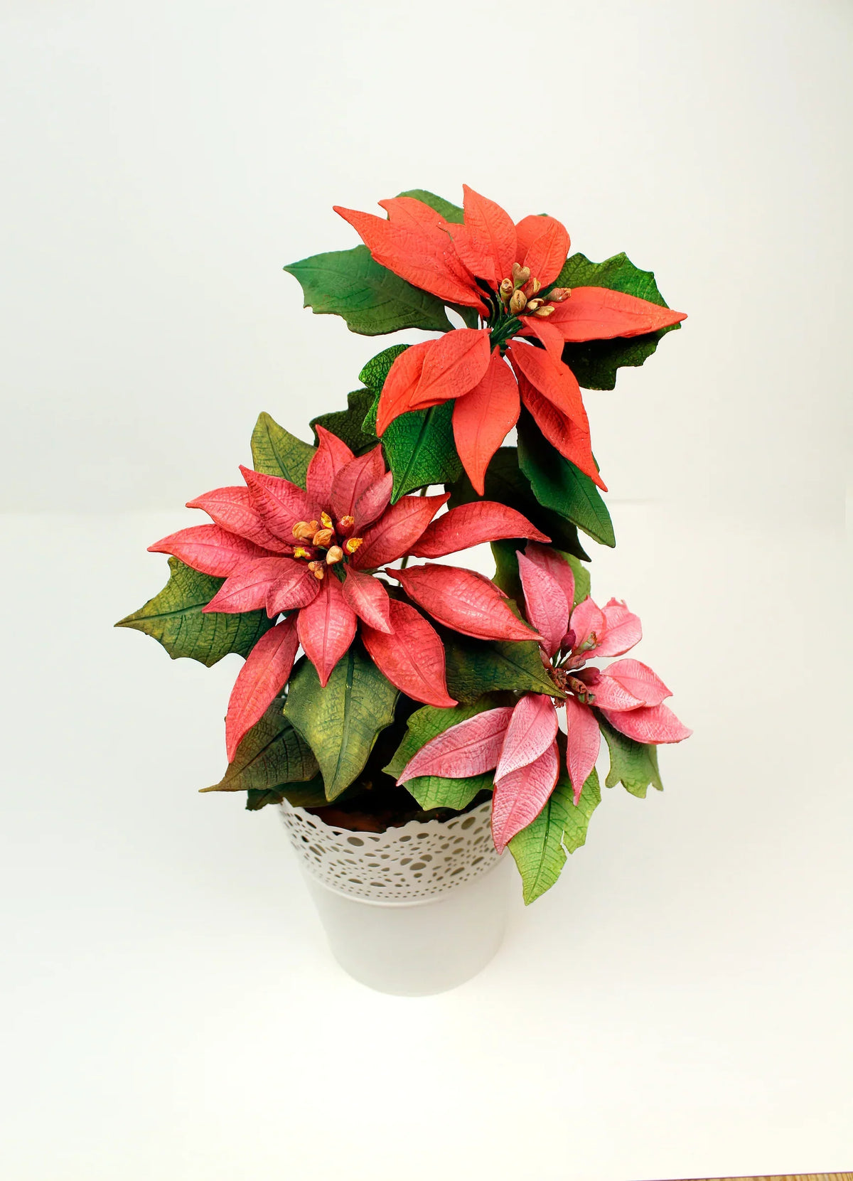 Moule en silicone Fleur de poinsettia Pro et texturisateur