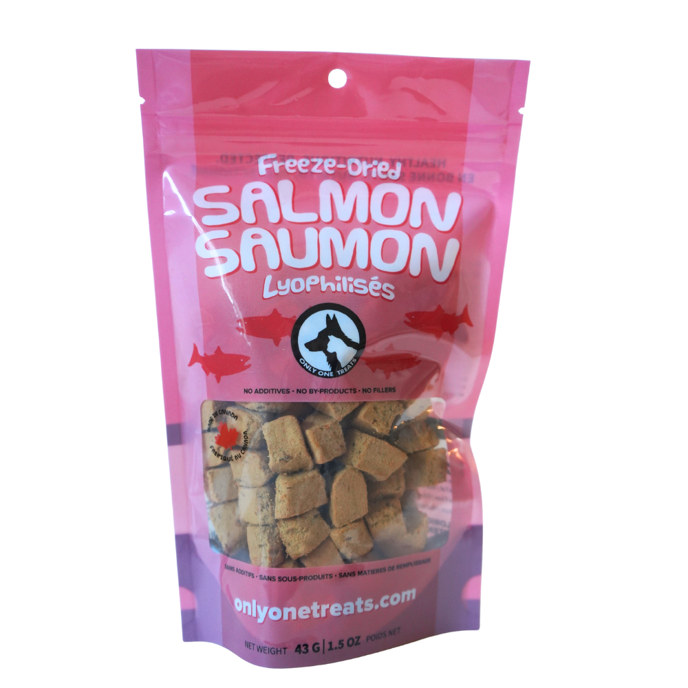 Saumon Lyophilisé 43g