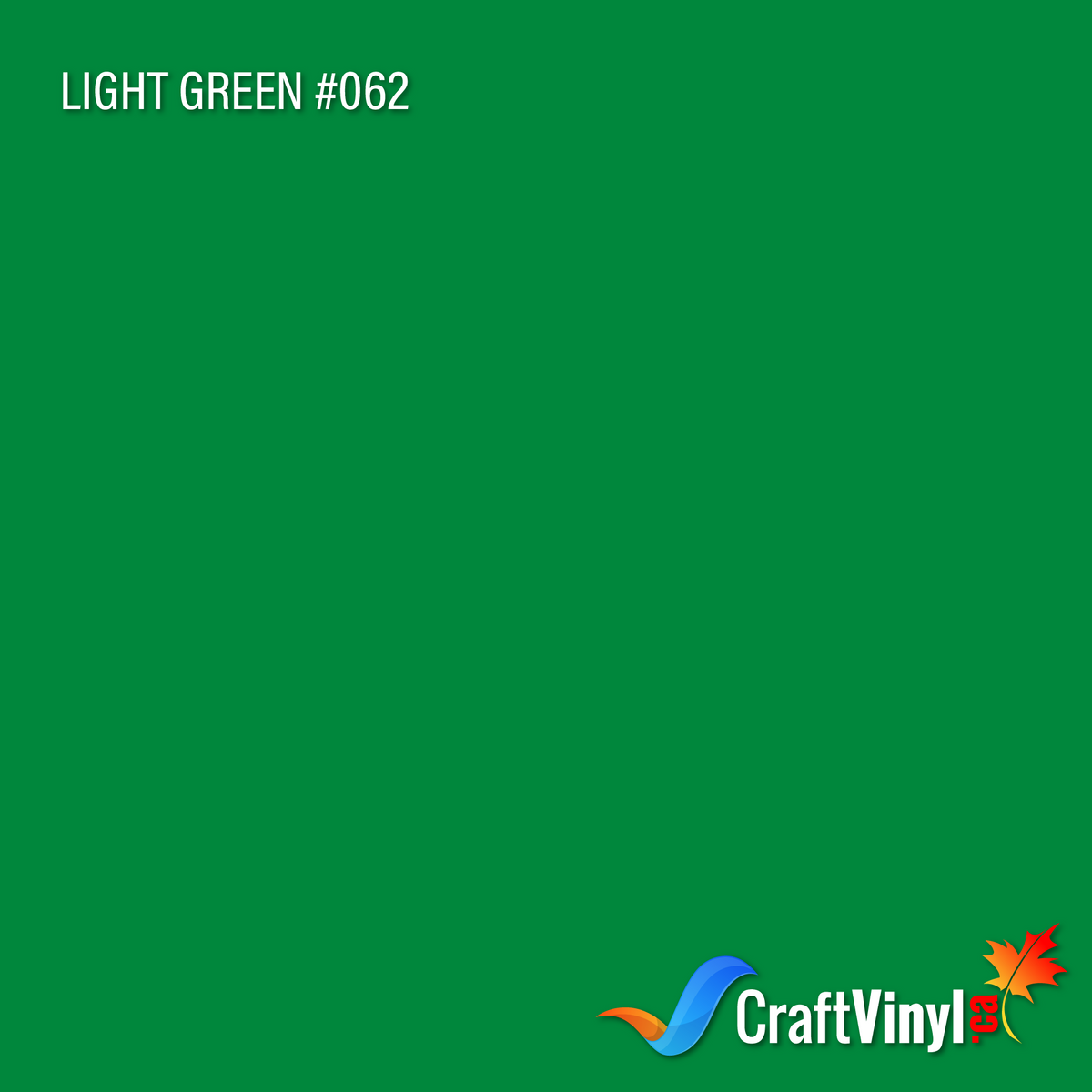Vinyle Oracal 651 brillant vert clair #062