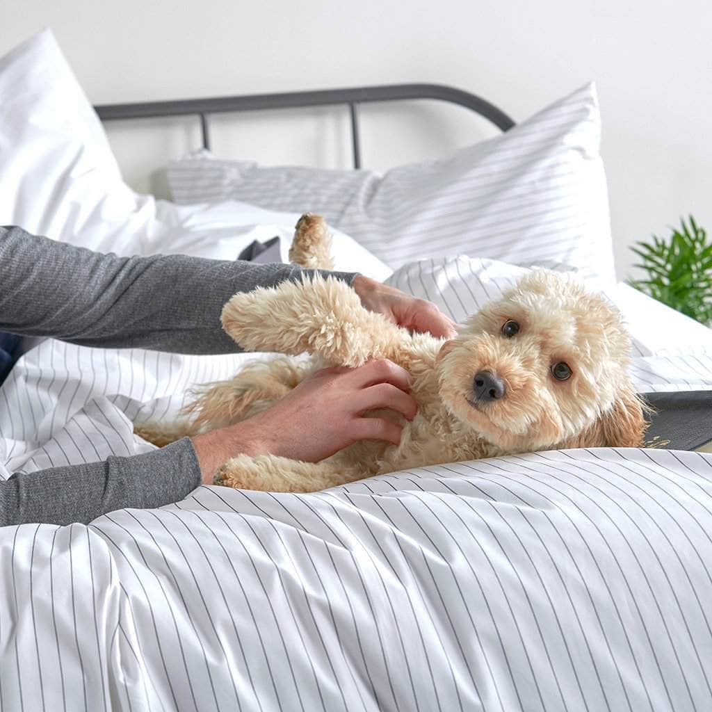 Housse de couette en percale de coton bio Essential