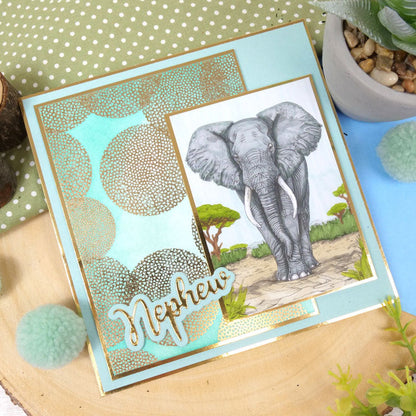 Colouring Pocket Pads - Animal Planet
