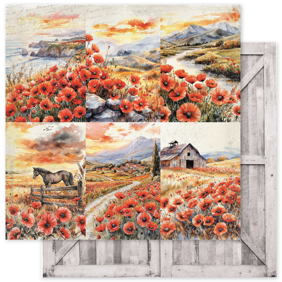 Collection de Papiers Jardin de Coquelicots 6x6 34641