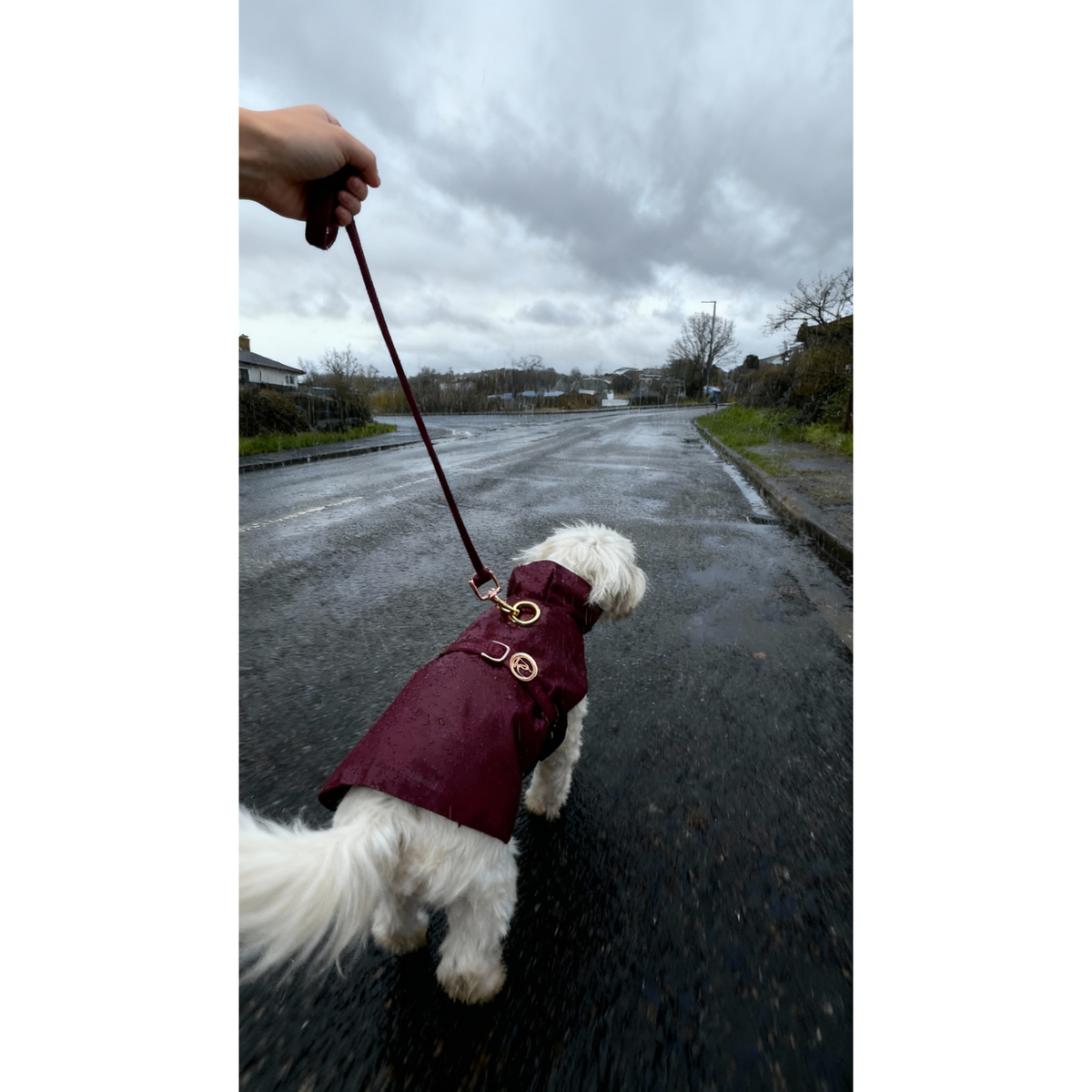 Burgundy Rain Jacket
