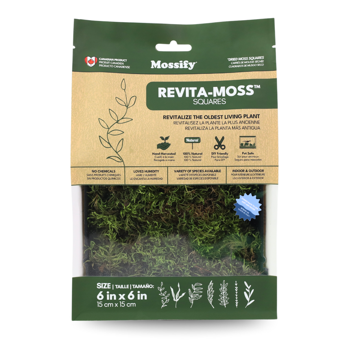 Natural Canadian Forest Moss - Revita-Moss™ (Pleurozium schreberi)