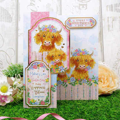 Collection de Luxe de Décorations Spéciales