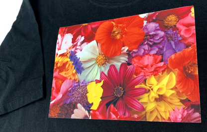 XVinyl Flock Sublimation Ultra Doux Premium pour des Motifs de T-shirt Éclatants : (5 Paquets) 30,5 cm x 21,6 cm
