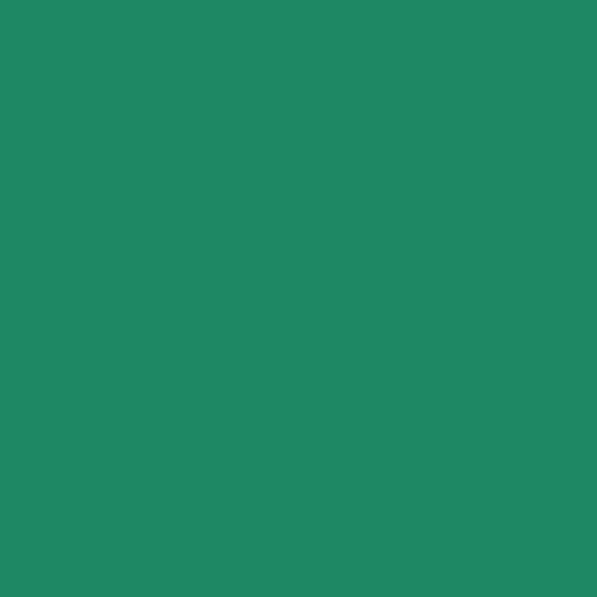 Siser Caddet Vert Easyweed feuilles de 30,5 cm x 30,5 cm