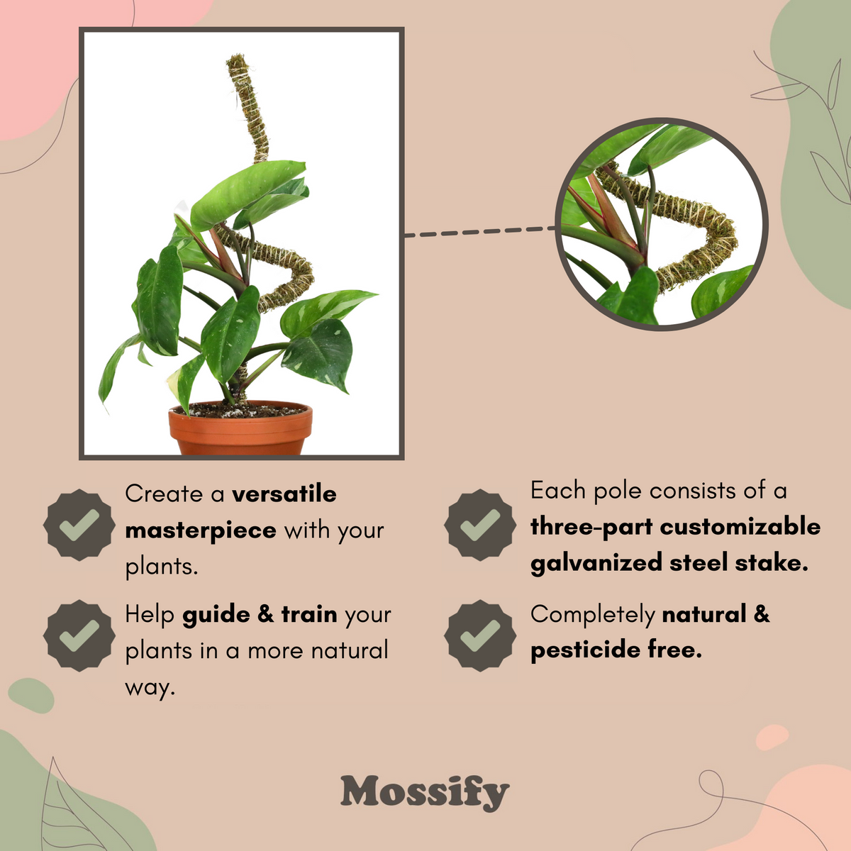 Pack ultime de tuteurs flexibles pour plantes